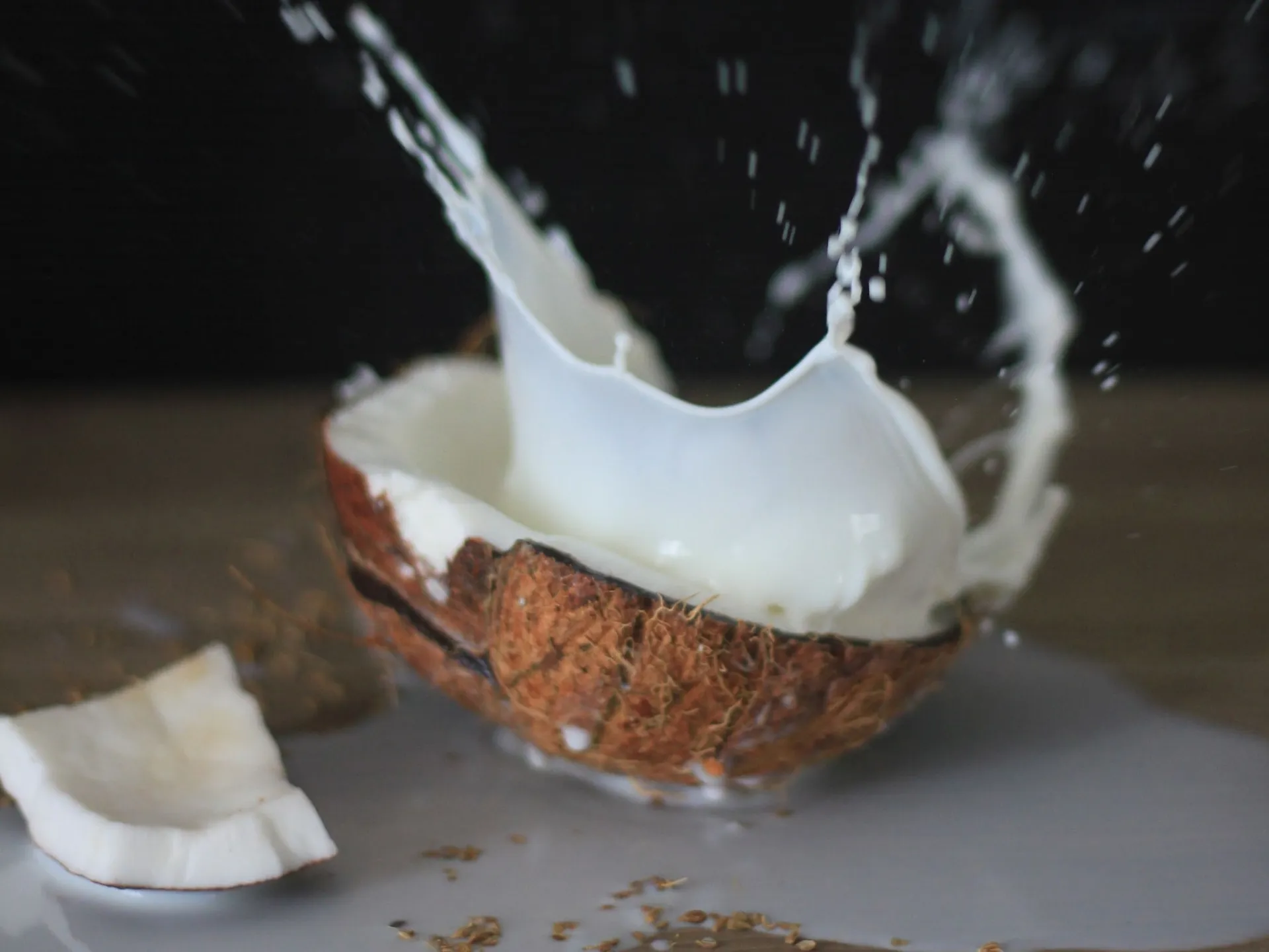 24% Fat Organic Aseptic Coconut Cream