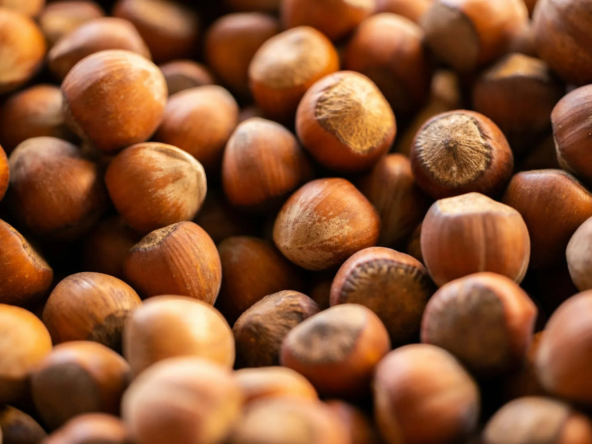 Hazelnuts