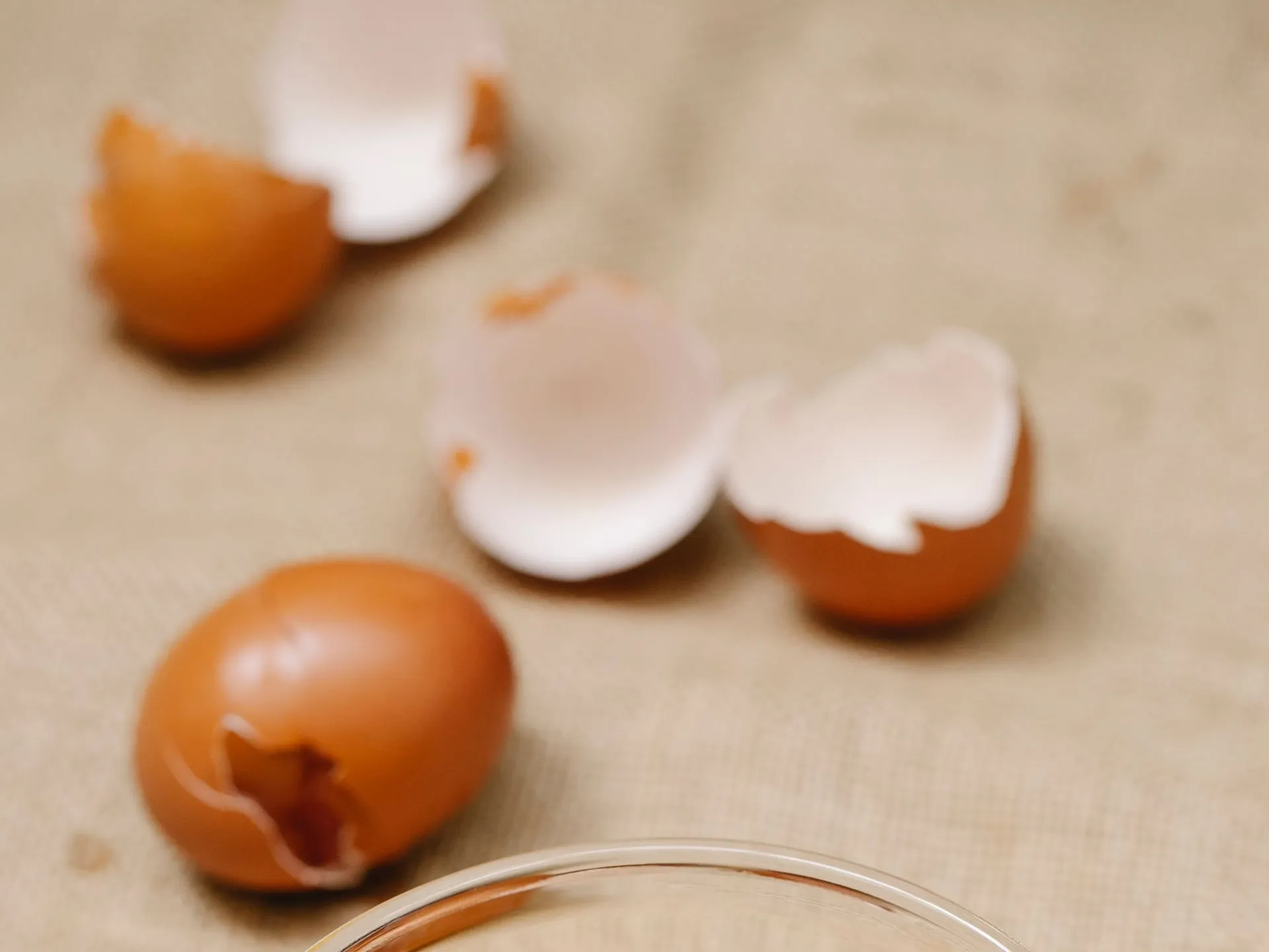 Frozen Whole Egg