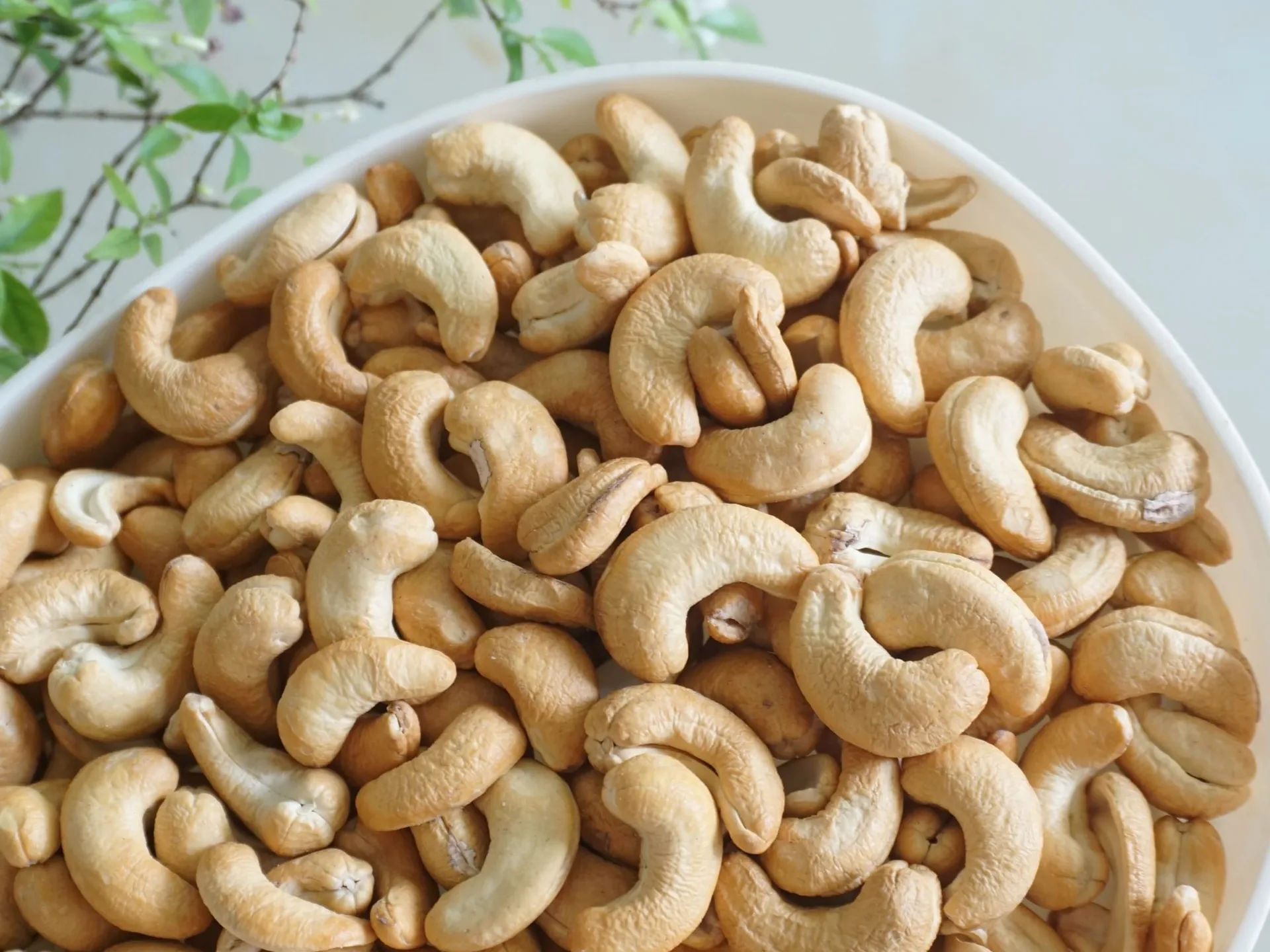 Cashews